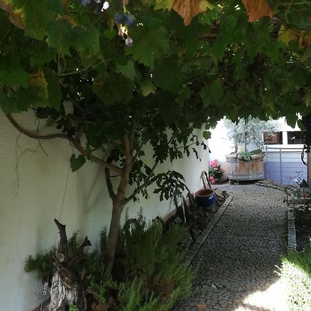 Haus Bienen Bed & Breakfast Ihringen Exterior photo