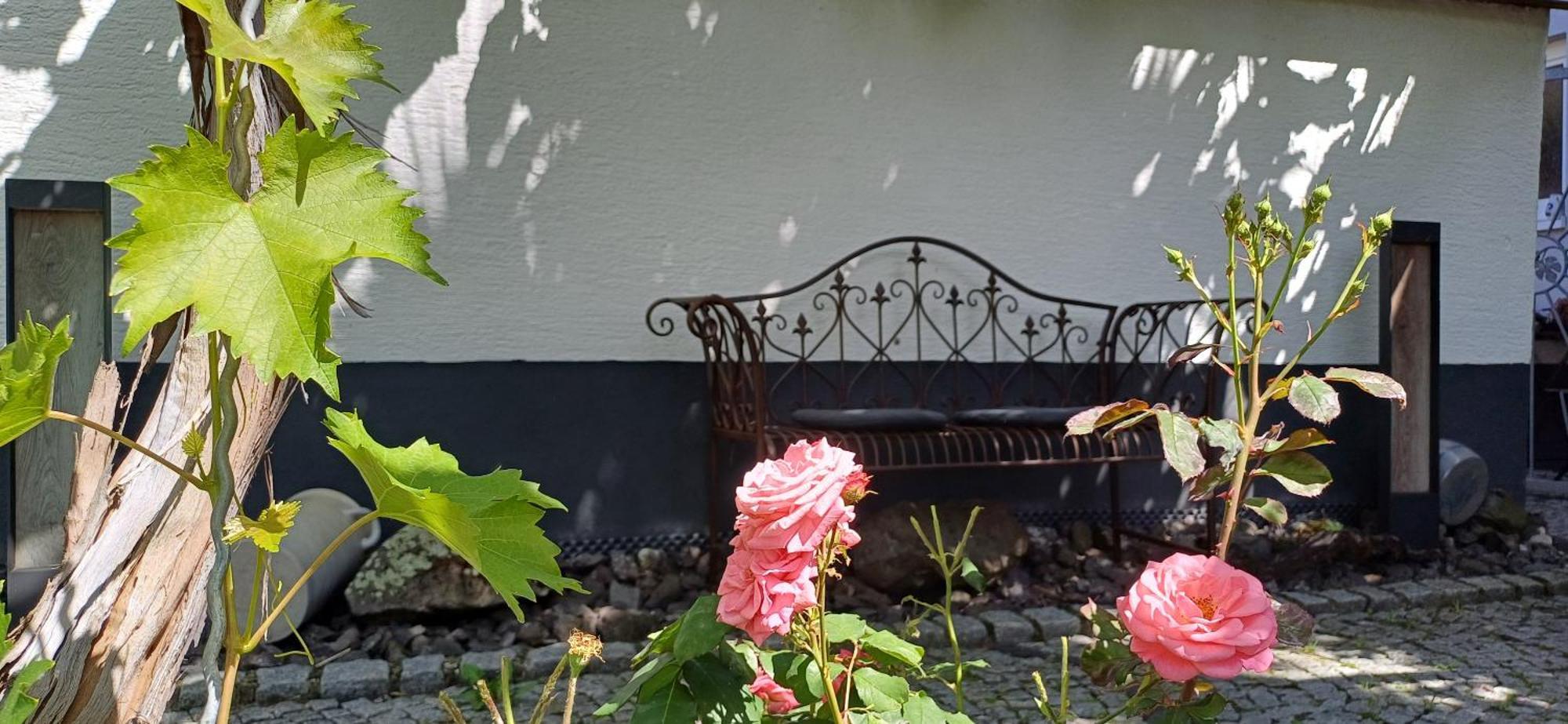 Haus Bienen Bed & Breakfast Ihringen Exterior photo