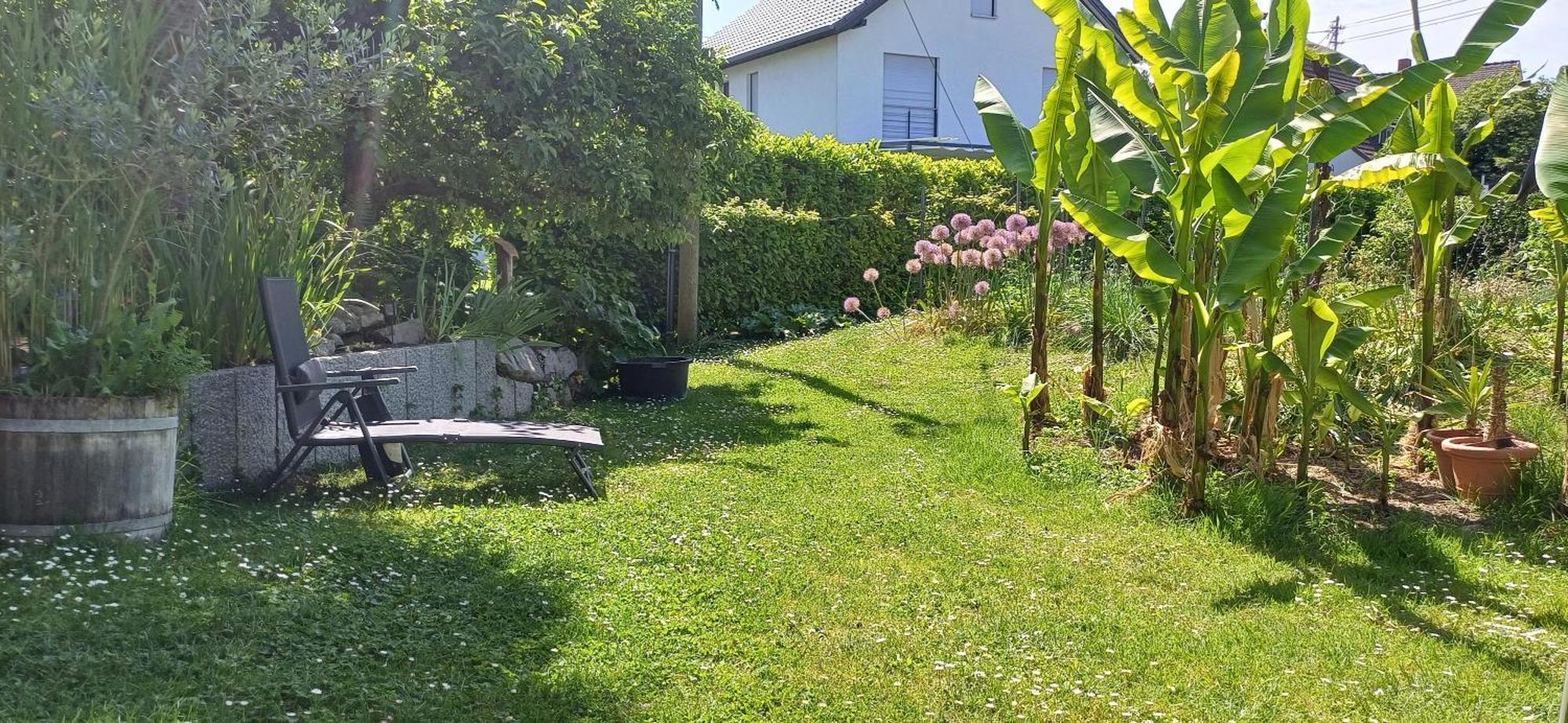 Haus Bienen Bed & Breakfast Ihringen Exterior photo