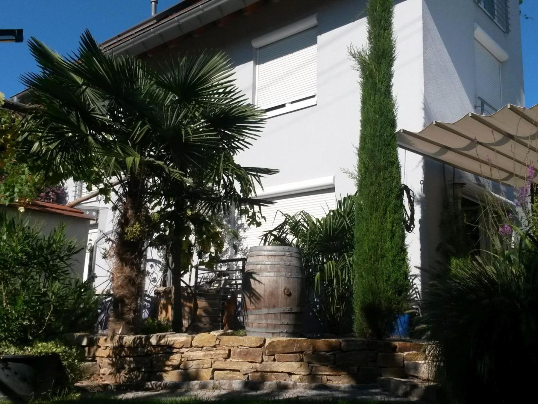 Haus Bienen Bed & Breakfast Ihringen Exterior photo
