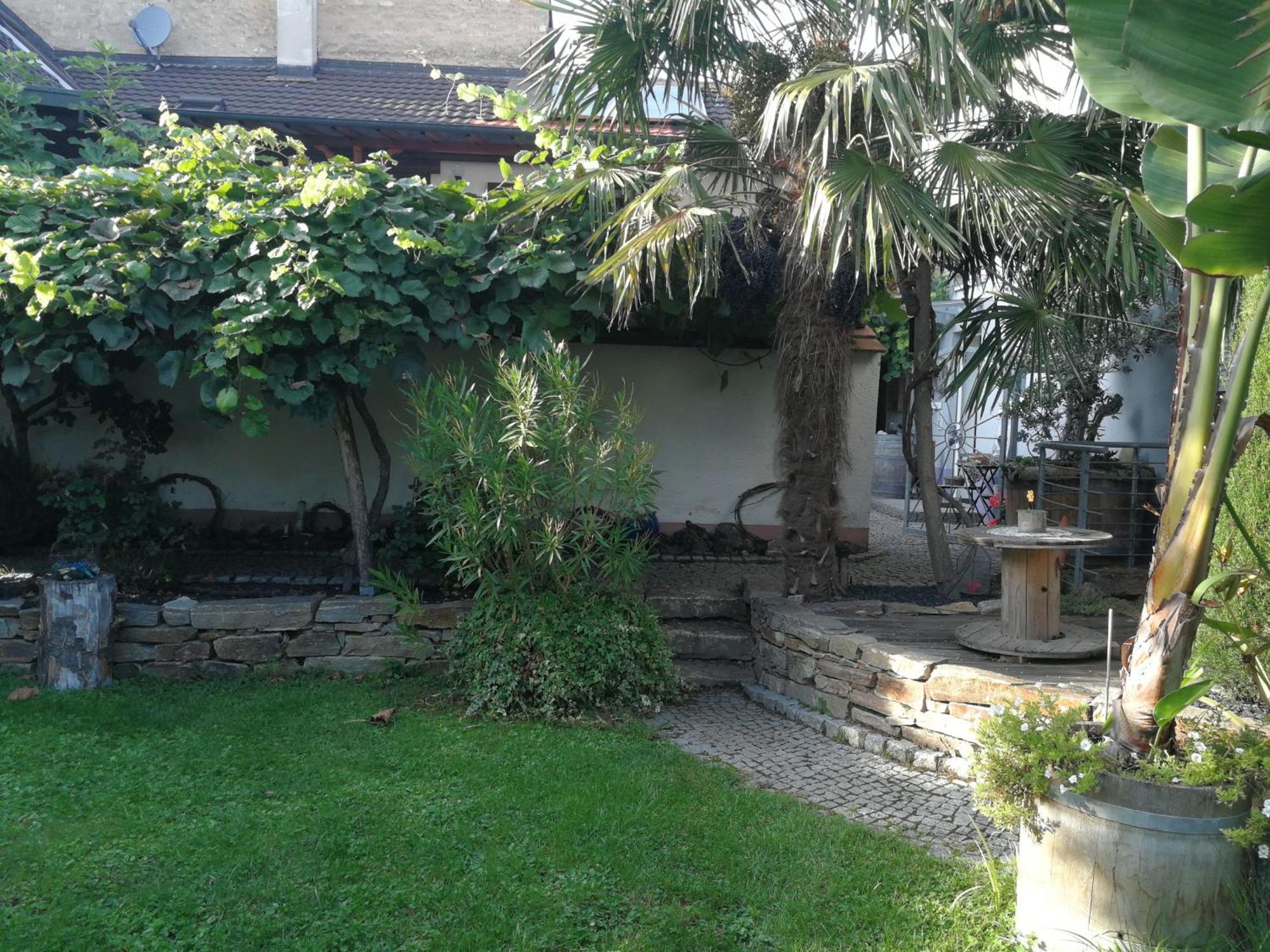 Haus Bienen Bed & Breakfast Ihringen Exterior photo